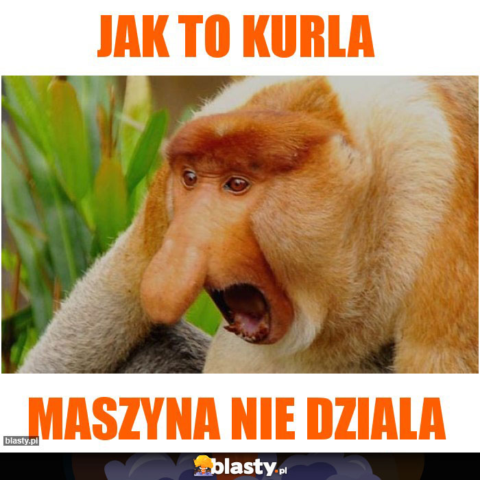 Jak to kurla