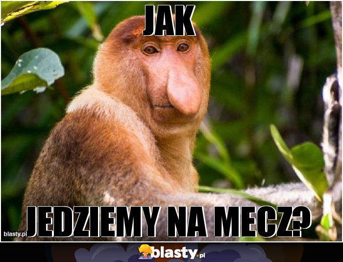 Jak