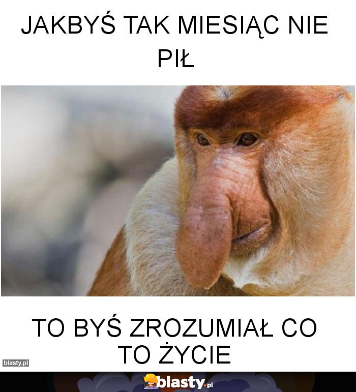 Jakbyś tak miesiąc nie pił