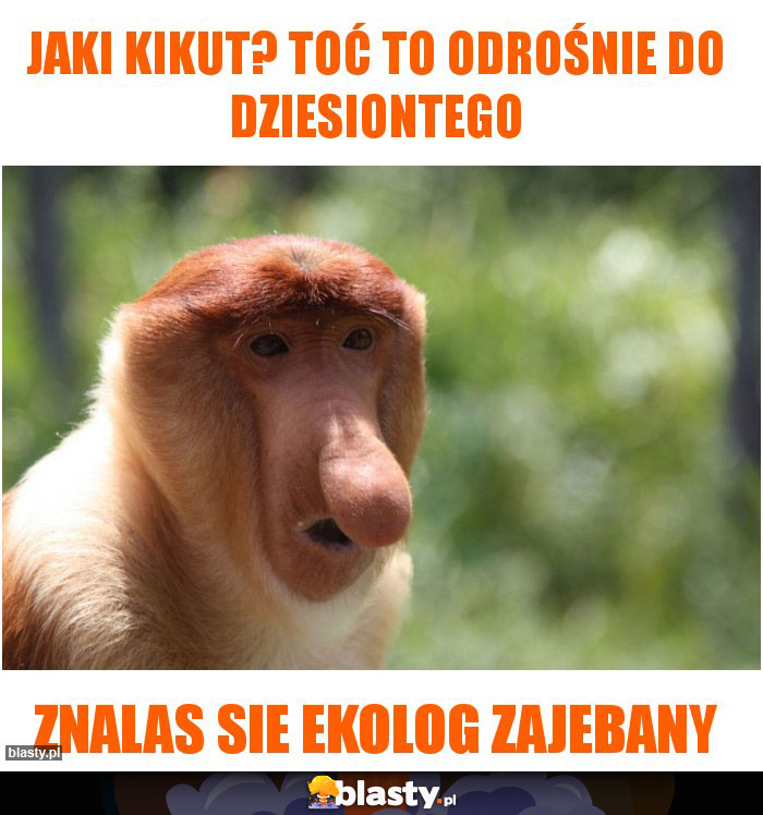 Jaki kikut? Toć to odrośnie do dziesiontego