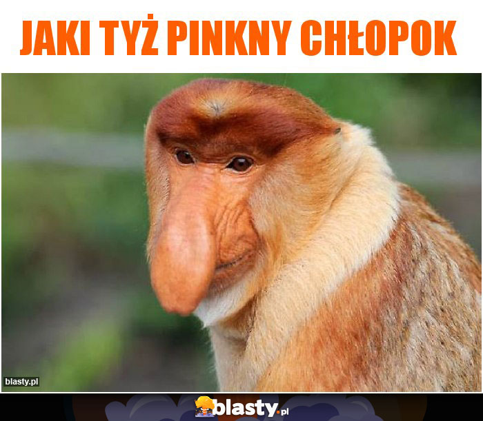 Jaki tyż pinkny chłopok