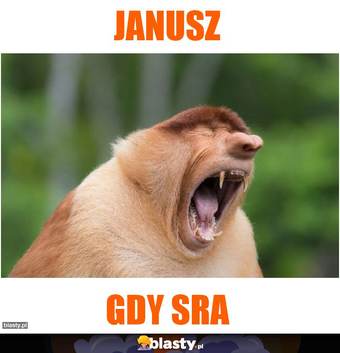 Janusz