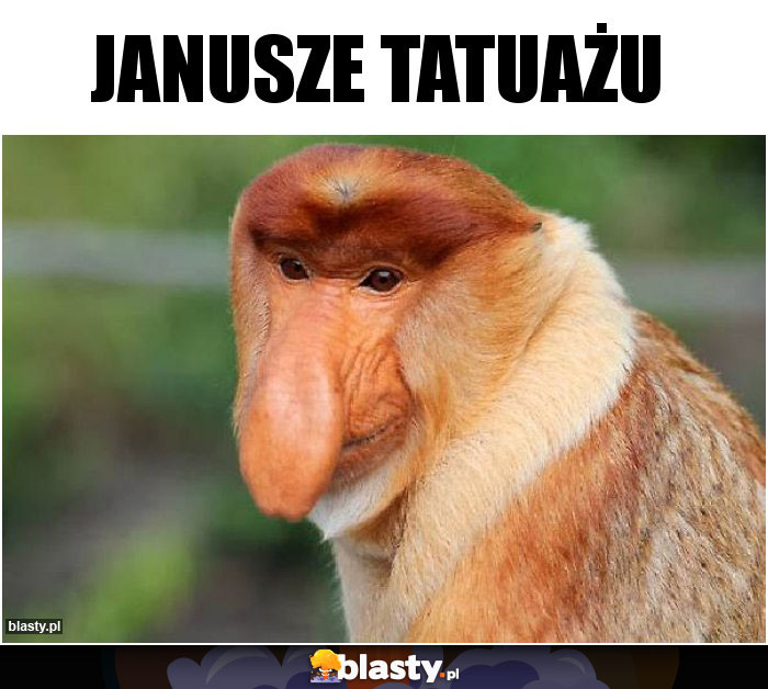 janusze tatuażu