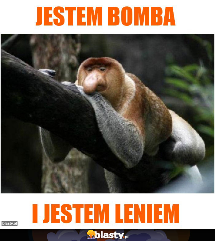 Jestem bomba