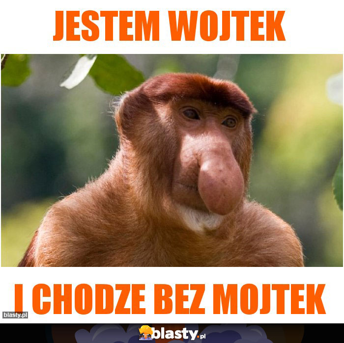 jestem wojtek