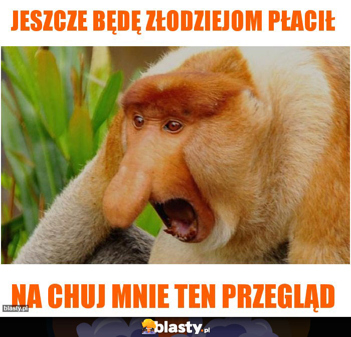 Jeszcze będę złodziejom płacił