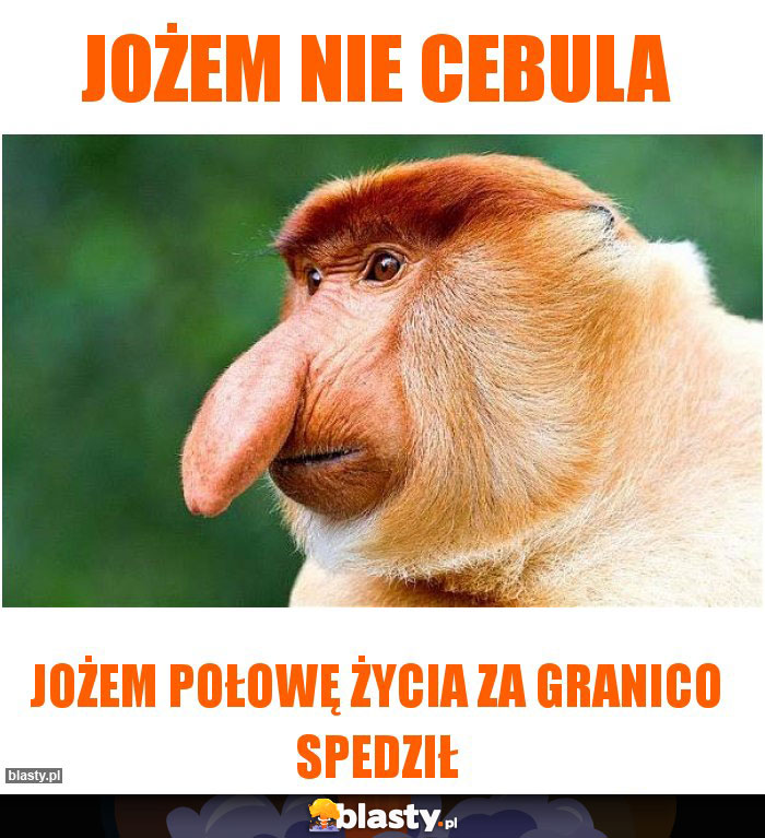 Jożem nie cebula