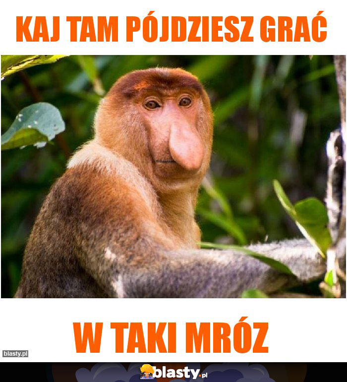 Kaj tam pójdziesz grać