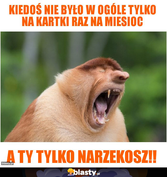 Kiedoś nie było w ogóle tylko na kartki raz na miesioc