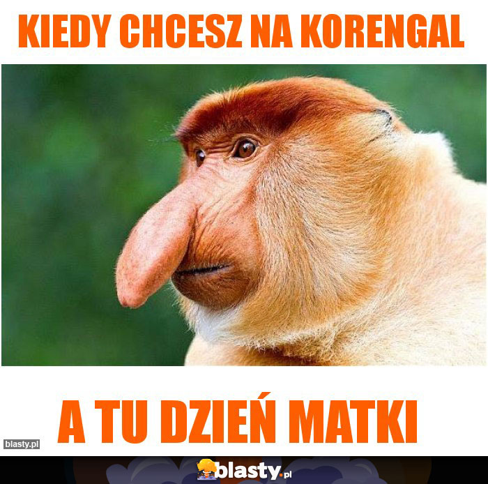 kiedy chcesz na korengal