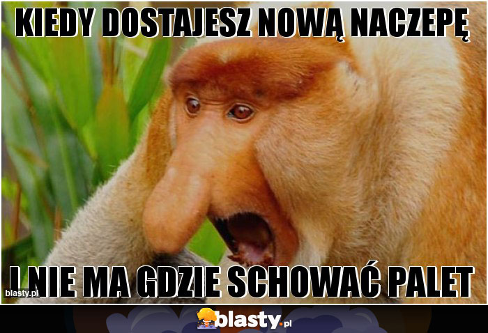 Kiedy dostajesz nową naczepę