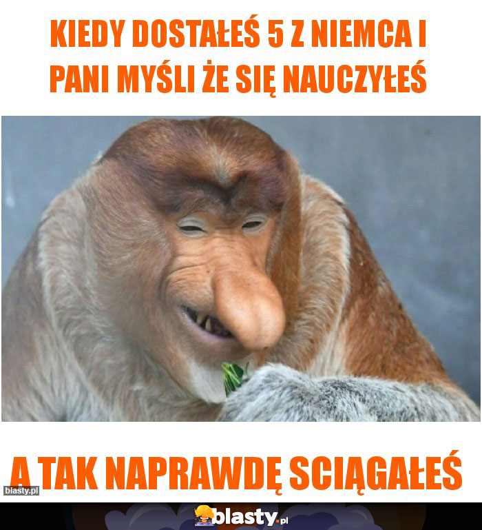 Kiedy dostałeś 5 z niemca i pani myśli że się nauczyłeś