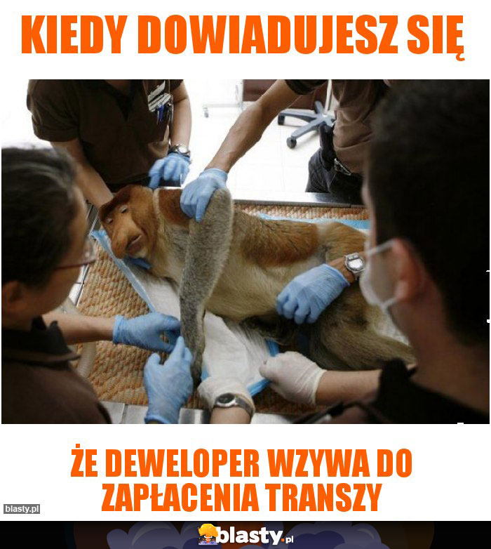 Kiedy dowiadujesz się