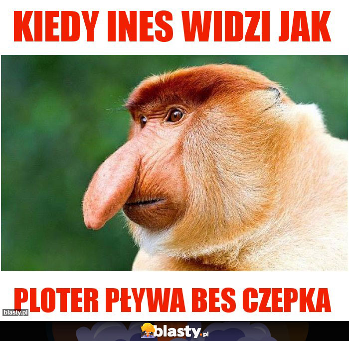 Kiedy ines widzi jak