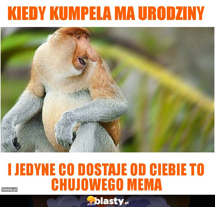 Kiedy kumpela ma urodziny