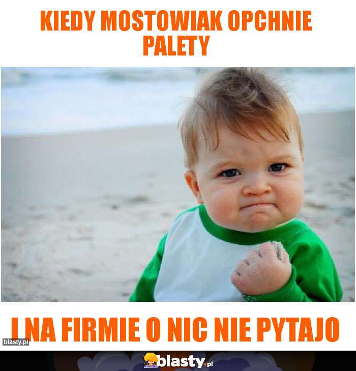 Kiedy mostowiak opchnie palety