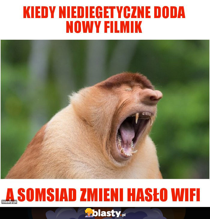 Kiedy niediegetyczne doda nowy filmik