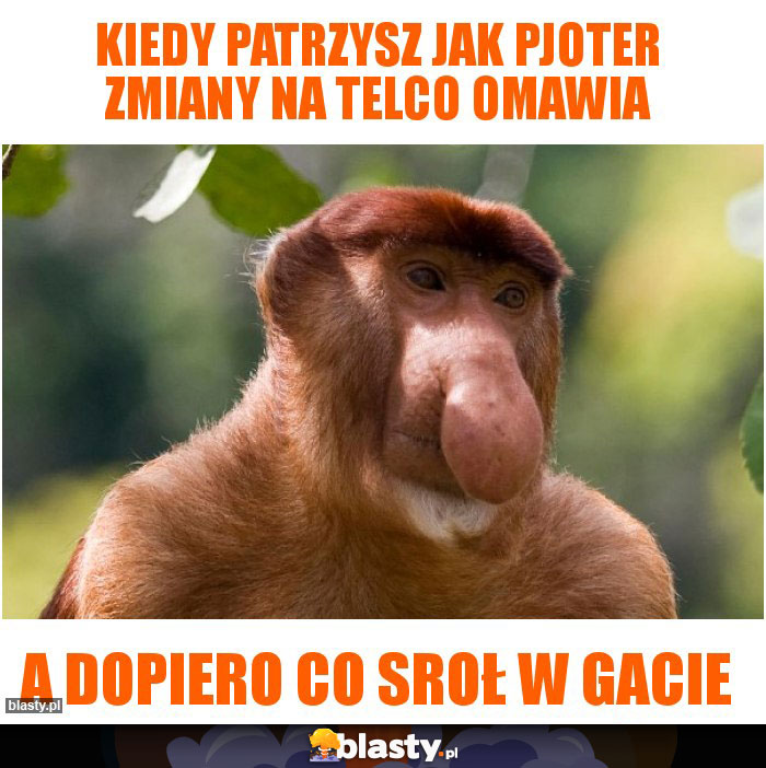 KIEDY PATRZYSZ JAK PJOTER ZMIANY NA TELCO OMAWIA