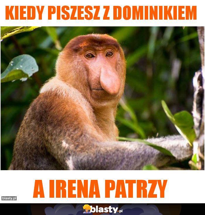 kiedy piszesz z dominikiem