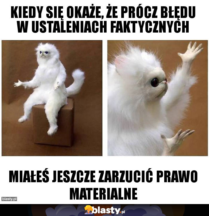 Kiedy się okaże, że prócz błędu w ustaleniach faktycznych