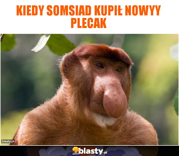 Kiedy somsiad kupił nowyy plecak