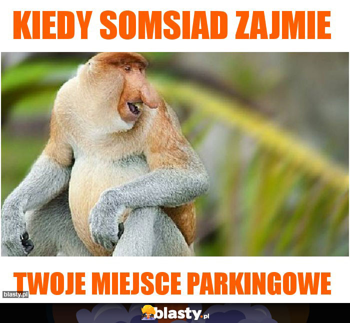 KIEDY SOMSIAD ZAJMIE