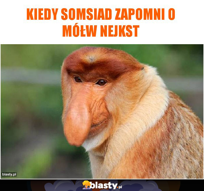 Kiedy somsiad zapomni o mółw nejkst