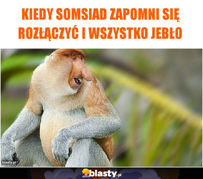 Kiedy somsiad zapomni się rozłączyć i wszystko jebło