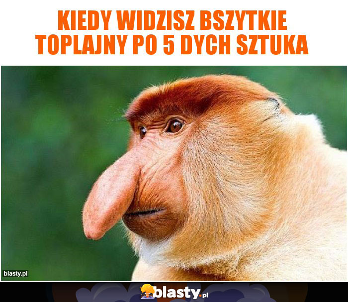 Kiedy widzisz bszytkie toplajny po 5 dych sztuka