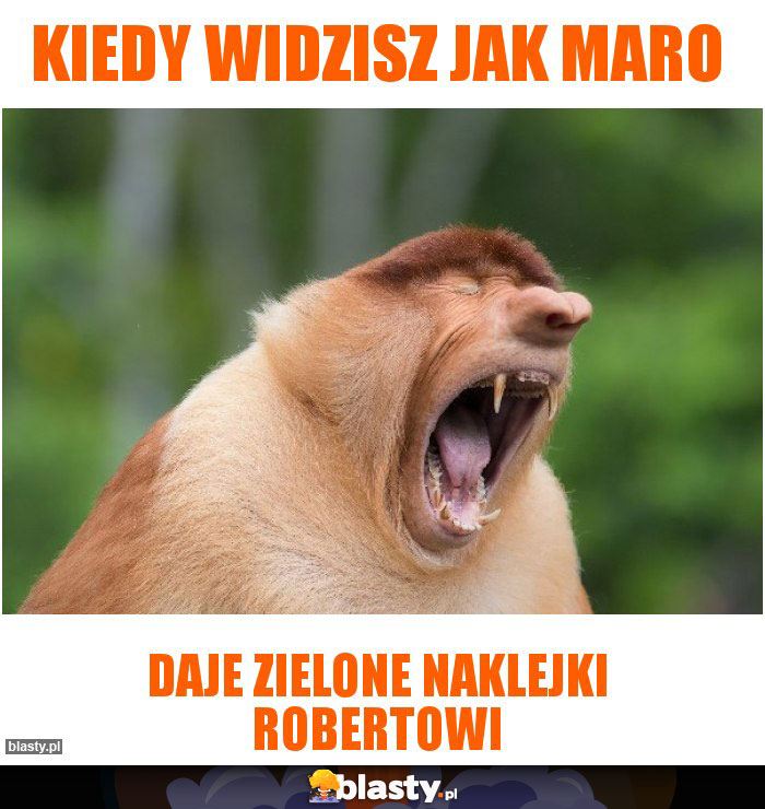 kiedy widzisz jak Maro