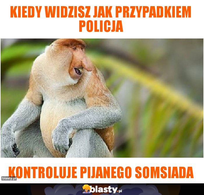 Kiedy widzisz jak przypadkiem policja