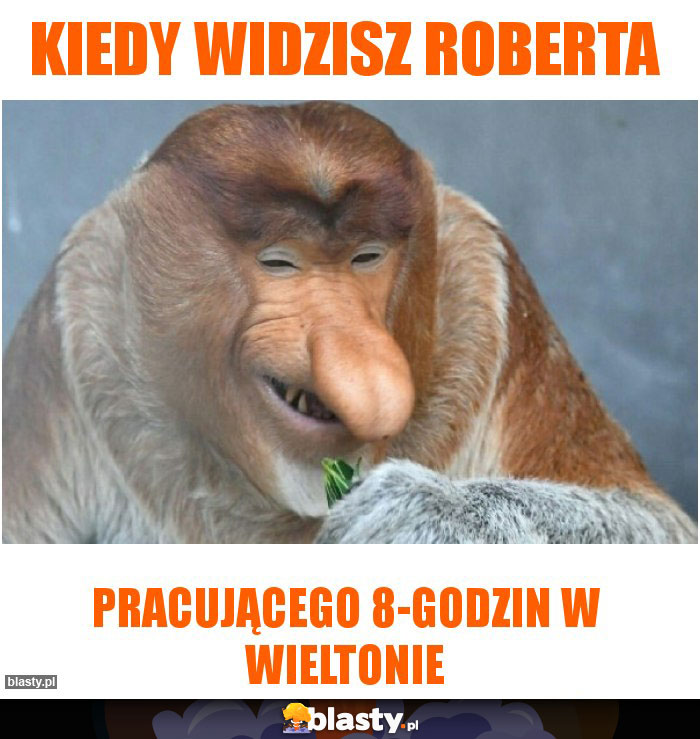 kiedy widzisz Roberta