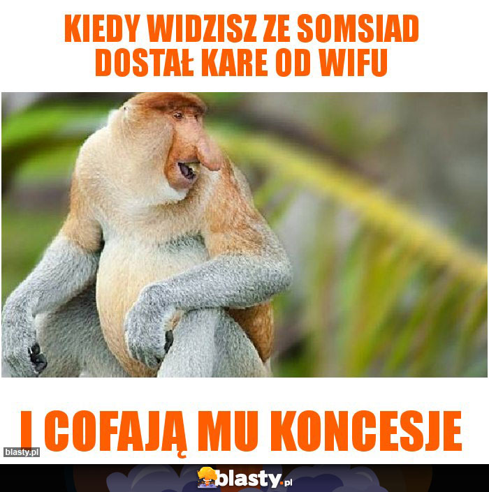 kiedy widzisz ze somsiad dostał kare od wifu