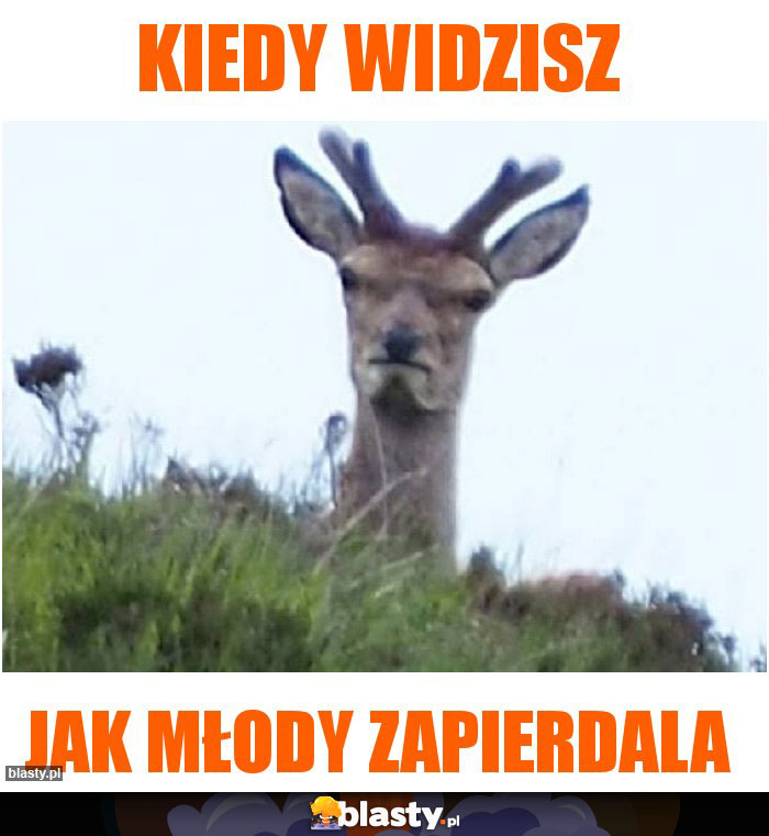 Kiedy widzisz