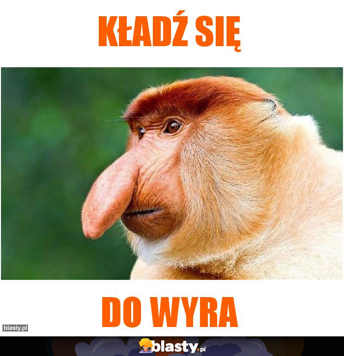 Kładź się