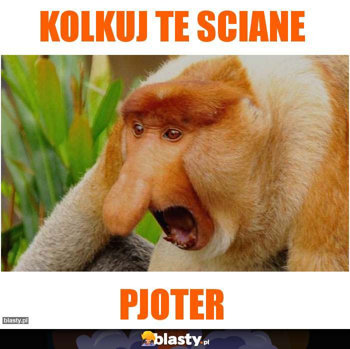 Kolkuj te sciane