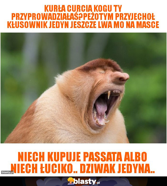 KURŁA CURCIA KOGU TY PRZYPROWADZIAŁAŚ?PEŻOTYM PRZYJECHOŁ KŁUSOWNIK jedyn JESZCZE LWA MO NA MASCE