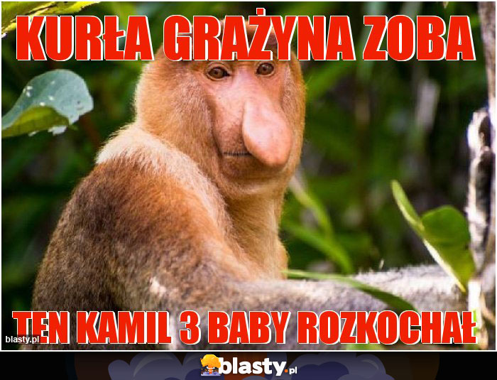 Kurła Grażyna zoba