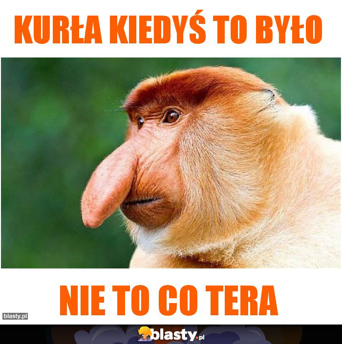 Kurła kiedyś to było