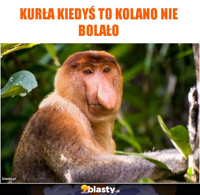 Kurła kiedyś to kolano nie bolało