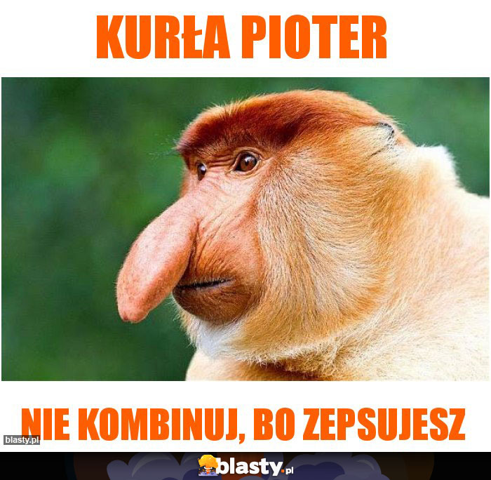 KURŁA PIOTER