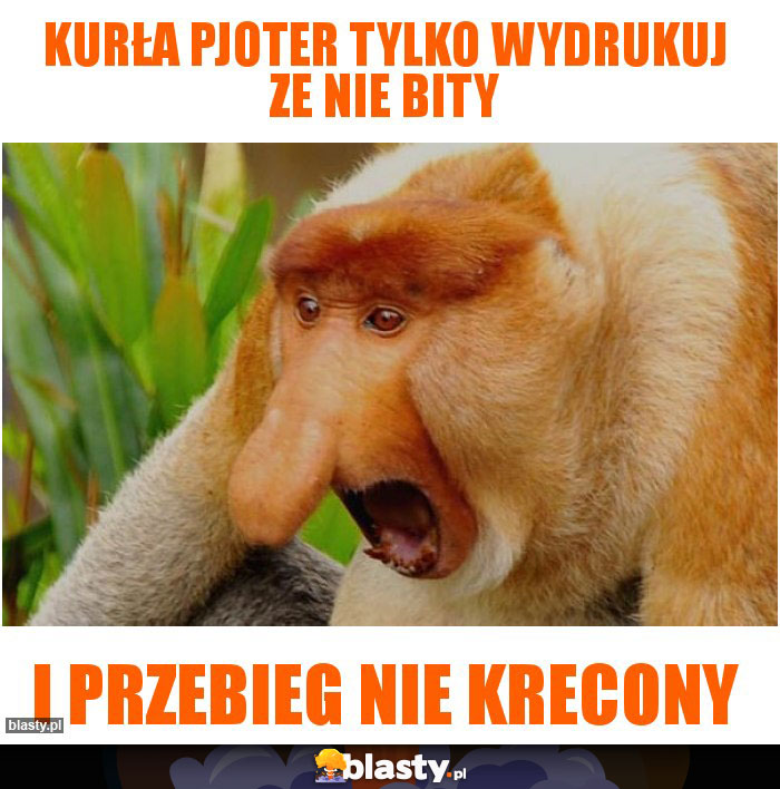 Kurła Pjoter tylko wydrukuj ze nie bity