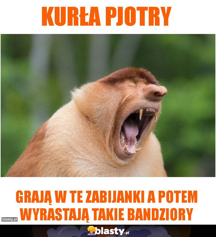 Kurła pjotry