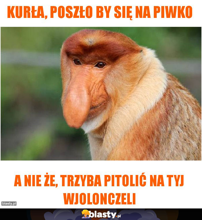 Kurła, poszło by się na piwko