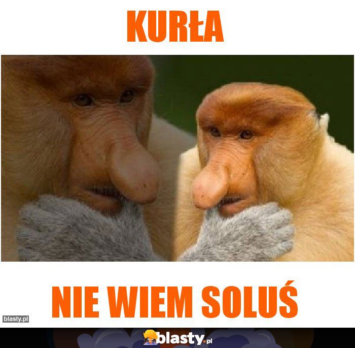 Kurła