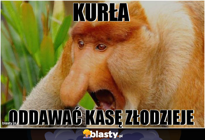 Kurła