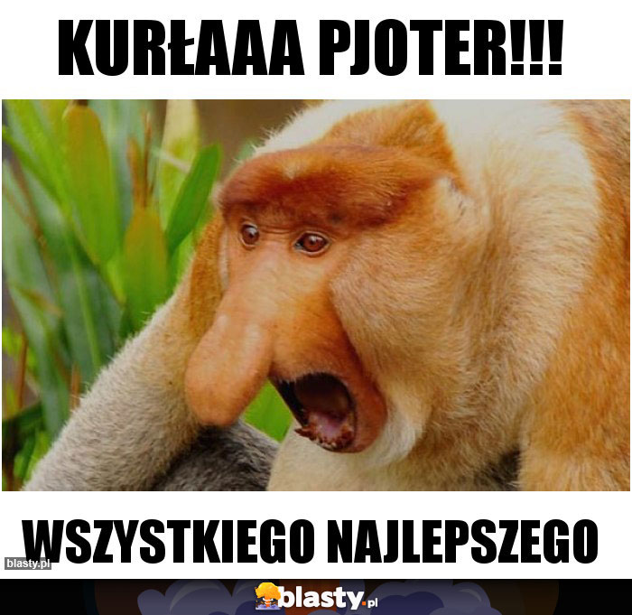 Kurłaaa Pjoter!!!