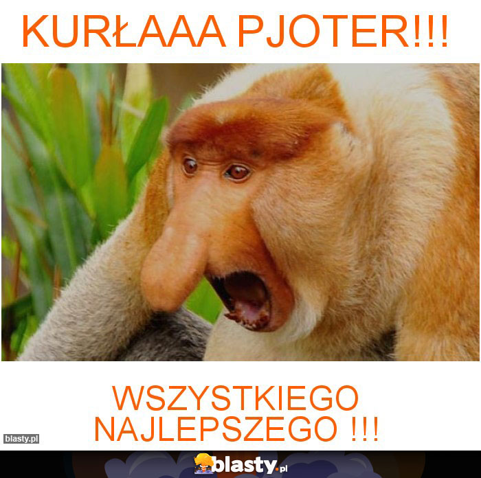 Kurłaaa Pjoter!!!