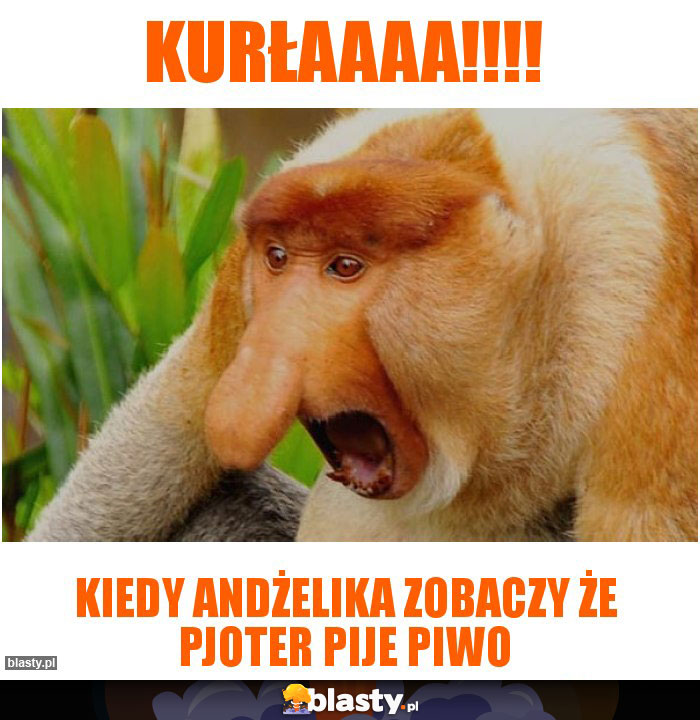 Kurłaaaa!!!!