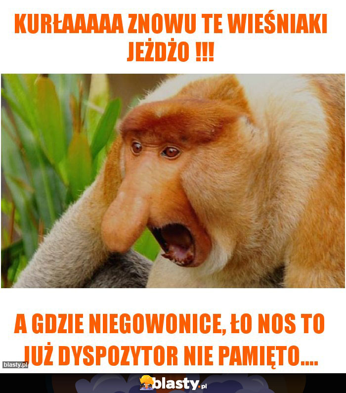 Kurłaaaaa znowu te wieśniaki jeżdżo !!!